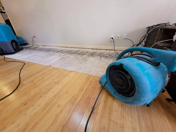 Professional Burst Pipe Water Damage technician working in Pratt, WV